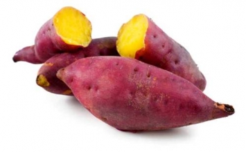 Những vị thuốc từ thiên nhiên